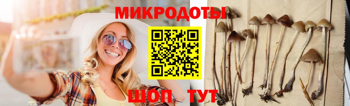 Псилоцибиновые грибы Psilocybine cubensis Борисоглебск